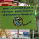 Image for article titled Celebrities Love L.A. Pumpkin Patch, Paparazzi Be Damned